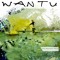 WanTu