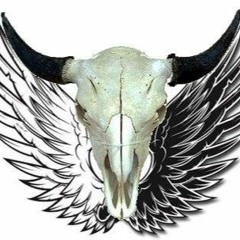 The Boxcar Mavericks