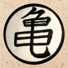 El sonido de la tortuga