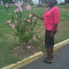 Tezeta Sterling-wynter