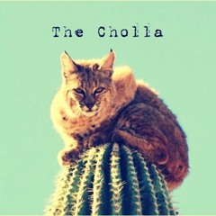 The Cholla