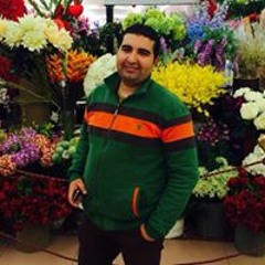 Mahmoud Al Mnshawy