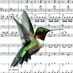 askewmusic