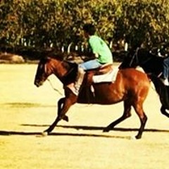 Juan Soffia