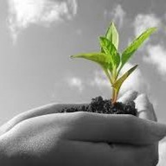 Pastores Daniel Sánchez