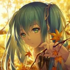 Anime op