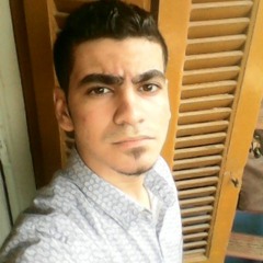 Shehab H. Eldin
