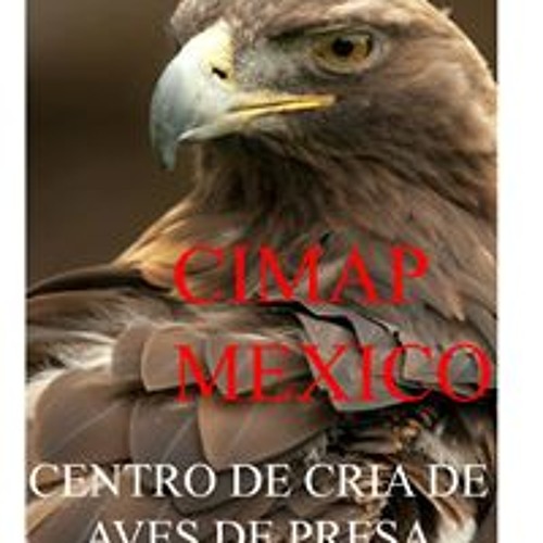 Cimap México’s avatar