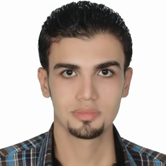 Amr Zaker