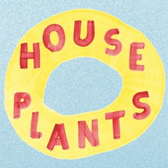 House Plants