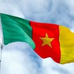 Collectif Trentesept