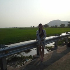 Anhtien Luu