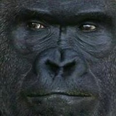 Jason Irving Rombaoa