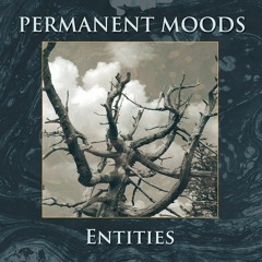 Permanent Moods