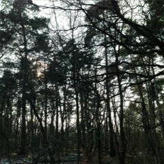 potte-seebeck