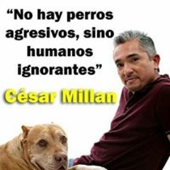 Maria Teresa Martin Vega