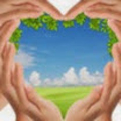 michal User 279702338