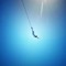 Hesham Farghaly