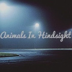 Animals in Hindsight