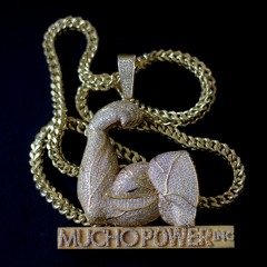 Mucho Power Inc.