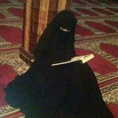 القران حياتى