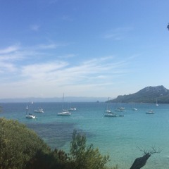 YPS (Yung Pimp Squad)