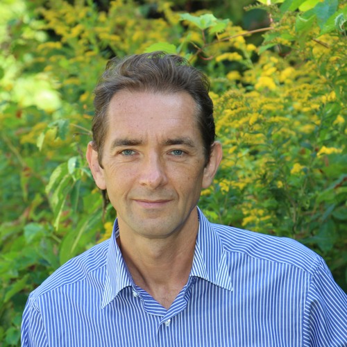 Stream Быть знаменитым некрасиво by Boris Zverev | Listen online for ...