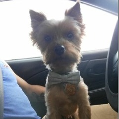 ILoveMakonnen - Sunday