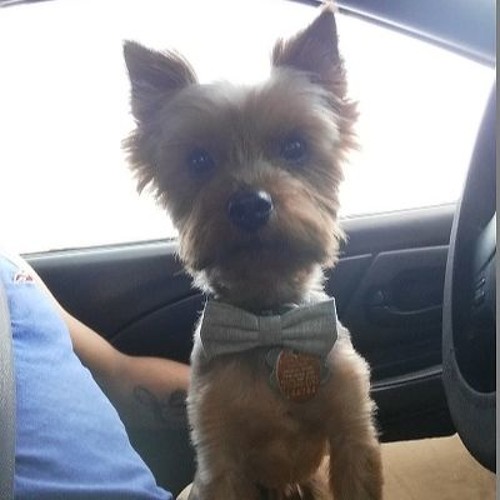 ILoveMakonnen - Sunday