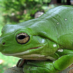 ‫محمد عبدالله‬‎