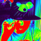xXFloppyRaccoonXx