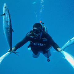 انا شيد جميله 2