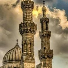 Mohamed Abd Elshafy