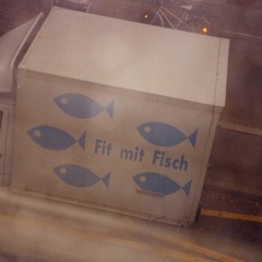 Chrigel Fisch