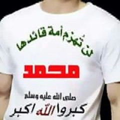 محمود بكرى