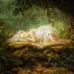 Tina Dahle Fitzgerald