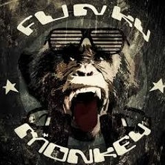 FuNkY mOnKeY™̷̨͋