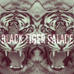 Black Tiger Palace