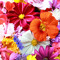 user303010703