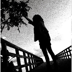 Verena van der Meulen