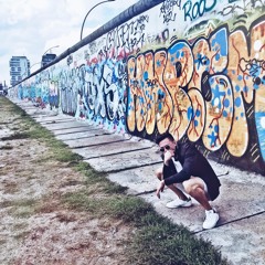 ahhlicks