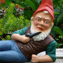 Gnome Alone