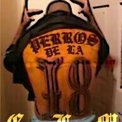 🔥PERROS DE LA 18 GFM🔥