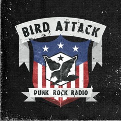 Bird Attack Radio