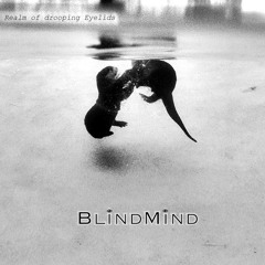 BlindMind