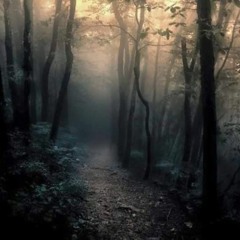mis_gato_ambient
