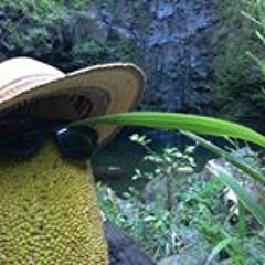 Anthony Joseph Casciato