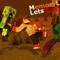 Memory LP