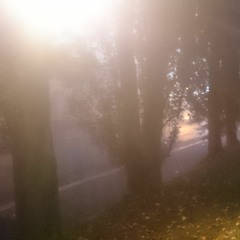 glitzer gold & heiterkeit