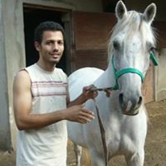 Moustafa Magdy Moussa